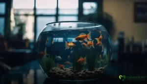 aquarismo