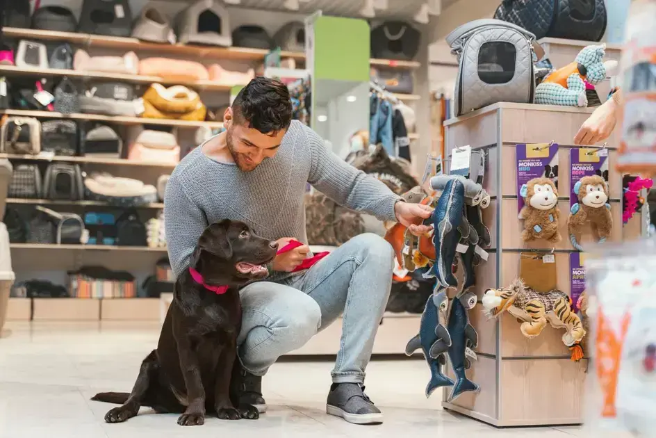 Pet Shop em Cianorte: Cuidados e Produtos para Seu Pet